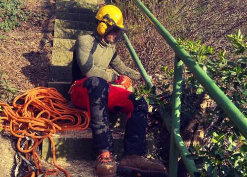 CC0864CE-01C5-4EDF-AD0A-FA6515B7D34B